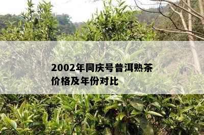 2002年同庆号普洱熟茶价格及年份对比