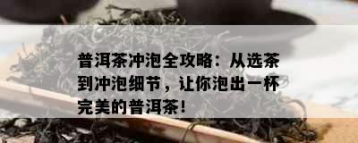 普洱茶冲泡全攻略：从选茶到冲泡细节，让你泡出一杯完美的普洱茶！