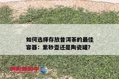 如何选择存放普洱茶的更佳容器：紫砂壶还是陶瓷罐？