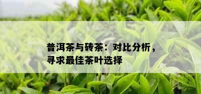 普洱茶与砖茶：对比分析，寻求更佳茶叶选择