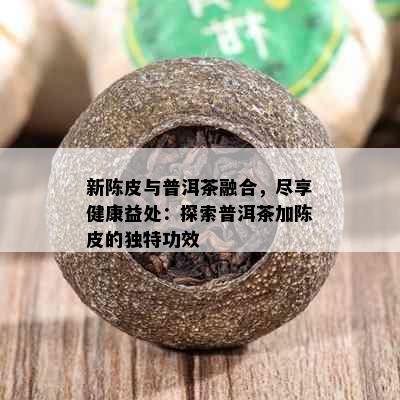 新陈皮与普洱茶融合，尽享健康益处：探索普洱茶加陈皮的独特功效