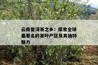 云南普洱茶之乡：探索全球最著名的茶叶产区及其独特魅力