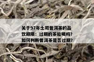 关于97年土司普洱茶的品饮期限：过期的茶能喝吗？如何判断普洱茶是否过期？