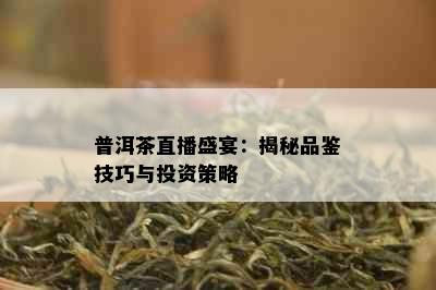 普洱茶直播盛宴：揭秘品鉴技巧与投资策略