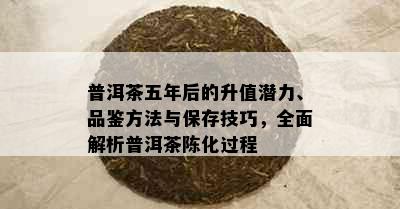 普洱茶五年后的升值潜力、品鉴方法与保存技巧，全面解析普洱茶陈化过程