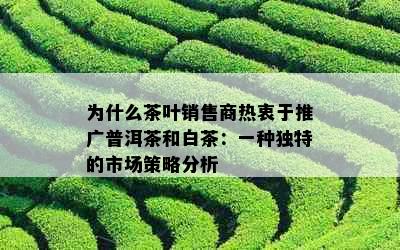 为什么茶叶销售商热衷于推广普洱茶和白茶：一种独特的市场策略分析