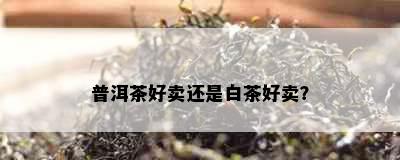 普洱茶好卖还是白茶好卖？