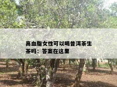 高血脂女性可以喝普洱茶生茶吗：答案在这里