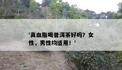 '高血脂喝普洱茶好吗？女性，男性均适用！'