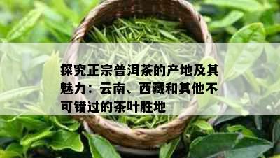 探究正宗普洱茶的产地及其魅力：云南、     和其他不可错过的茶叶胜地