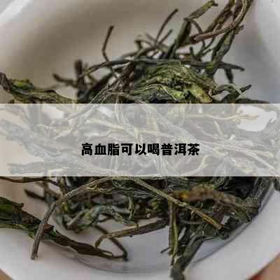 高血脂可以喝普洱茶