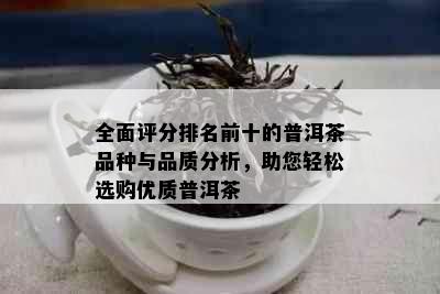 全面评分排名前十的普洱茶品种与品质分析，助您轻松选购优质普洱茶