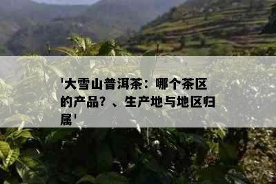 '大雪山普洱茶：哪个茶区的产品？、生产地与地区归属'