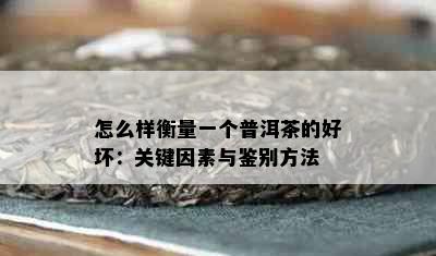 怎么样衡量一个普洱茶的好坏：关键因素与鉴别方法