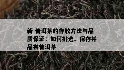 新 普洱茶的存放方法与品质保证：如何挑选、保存并品尝普洱茶