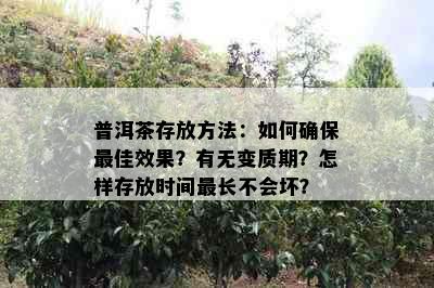 普洱茶存放方法：如何确保更佳效果？有无变质期？怎样存放时间最长不会坏？