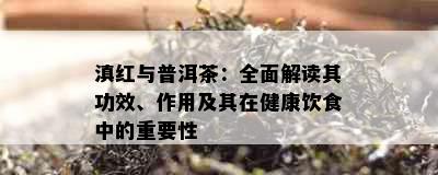 滇红与普洱茶：全面解读其功效、作用及其在健康饮食中的重要性