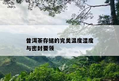 普洱茶存储的完美温度湿度与密封要领