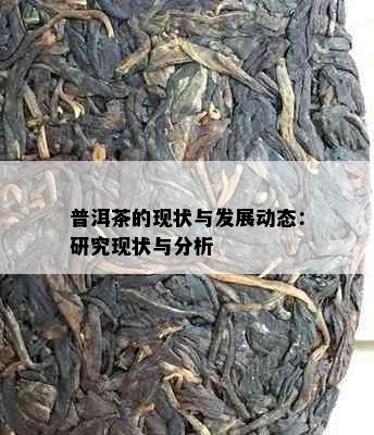 普洱茶的现状与发展动态：研究现状与分析