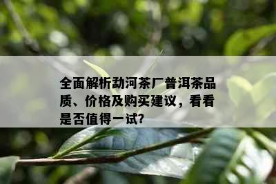 全面解析勐河茶厂普洱茶品质、价格及购买建议，看看是否值得一试？