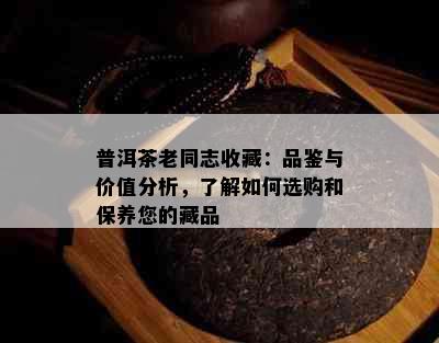 普洱茶老同志收藏：品鉴与价值分析，了解如何选购和保养您的藏品