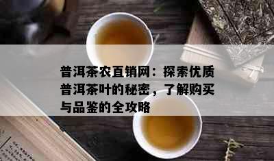 普洱茶农直销网：探索优质普洱茶叶的秘密，了解购买与品鉴的全攻略