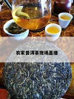 农家普洱茶现场直播