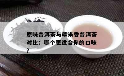 原味普洱茶与糯米香普洱茶对比：哪个更适合你的口味？