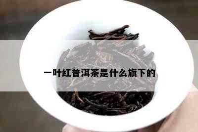 一叶红普洱茶是什么旗下的