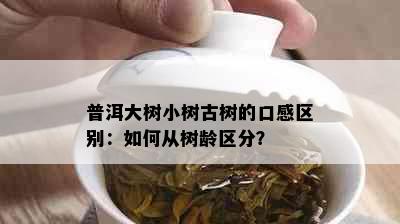 普洱大树小树古树的口感区别：如何从树龄区分？