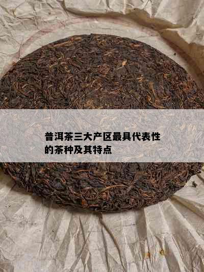 普洱茶三大产区更具代表性的茶种及其特点