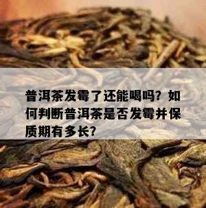 普洱茶发霉了还能喝吗？如何判断普洱茶是否发霉并保质期有多长？