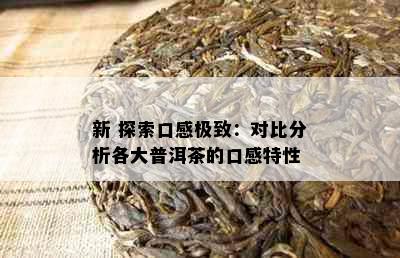 新 探索口感极致：对比分析各大普洱茶的口感特性