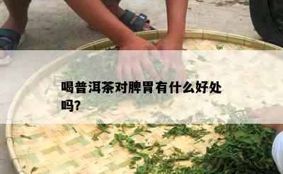 喝普洱茶对脾胃有什么好处吗？