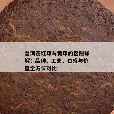 普洱茶红印与黄印的区别详解：品种、工艺、口感与价值全方位对比