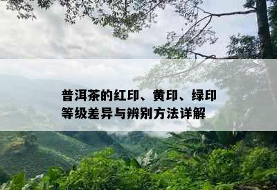 普洱茶的红印、黄印、绿印等级差异与辨别方法详解