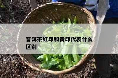 普洱茶红印和黄印代表什么区别