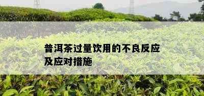 普洱茶过量饮用的不良反应及应对措施