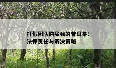 打假团队购买我的普洱茶：法律责任与解决策略