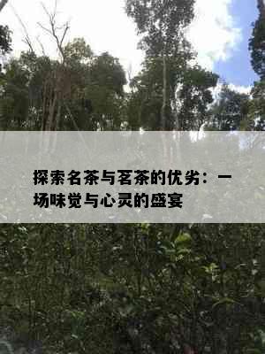 探索名茶与茗茶的优劣：一场味觉与心灵的盛宴