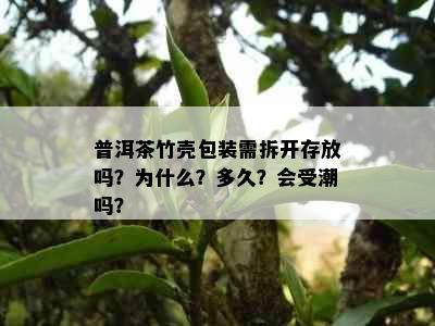 普洱茶竹壳包装需拆开存放吗？为什么？多久？会受潮吗？