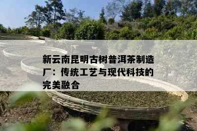 新云南昆明古树普洱茶制造厂：传统工艺与现代科技的完美融合