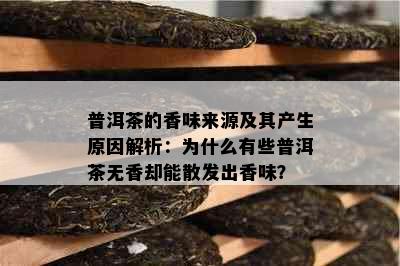 普洱茶的香味来源及其产生原因解析：为什么有些普洱茶无香却能散发出香味？