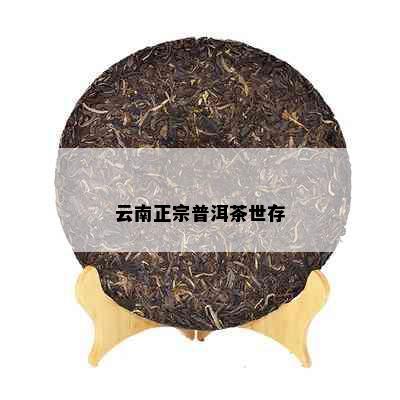 云南正宗普洱茶世存