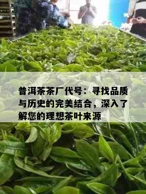 普洱茶茶厂代号：寻找品质与历史的完美结合，深入了解您的理想茶叶来源