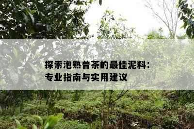 探索泡熟普茶的更佳泥料：专业指南与实用建议