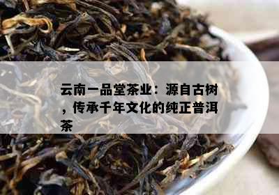 云南一品堂茶业：源自古树，传承千年文化的纯正普洱茶