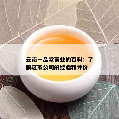 云南一品堂茶业的百科：了解这家公司的经验和评价