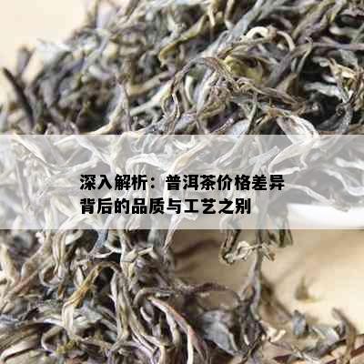 深入解析：普洱茶价格差异背后的品质与工艺之别