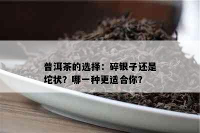 普洱茶的选择：碎银子还是坨状？哪一种更适合你？